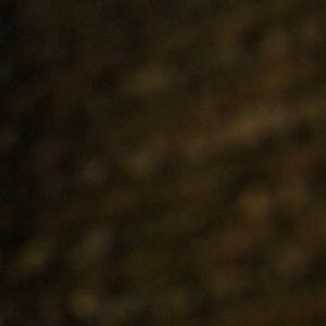 Meet your Posher, Andy